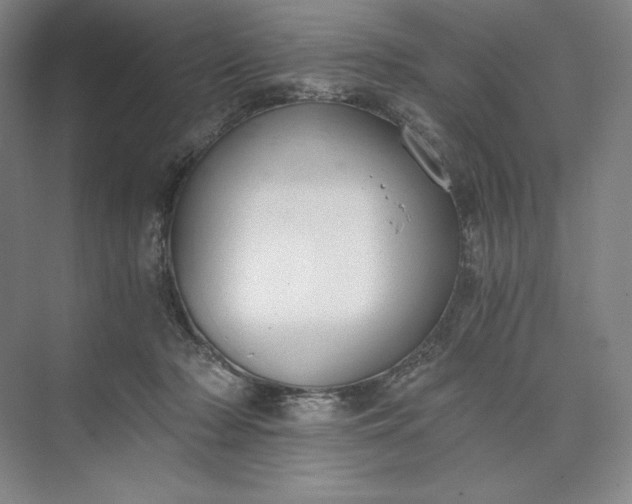 X0000073510318200608140941