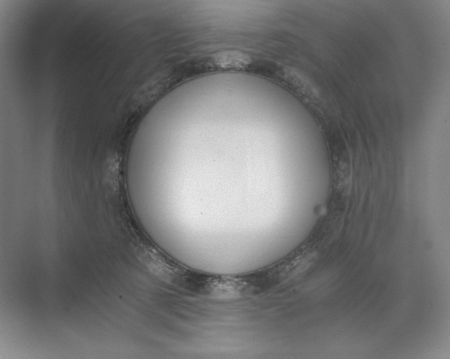 X0000073510321200608140941