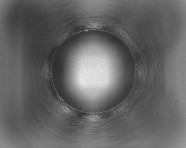 X0000073510322200608140941