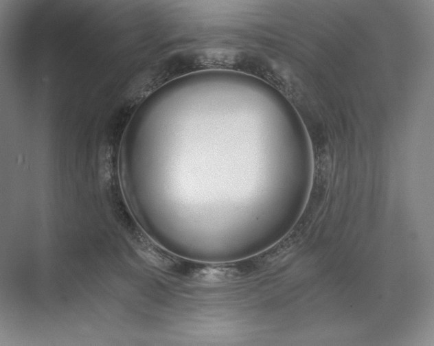 X0000073510323200608140941