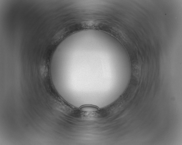 X0000073510324200608140941