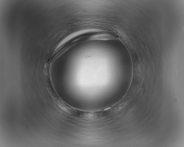 X0000073510325200608140941