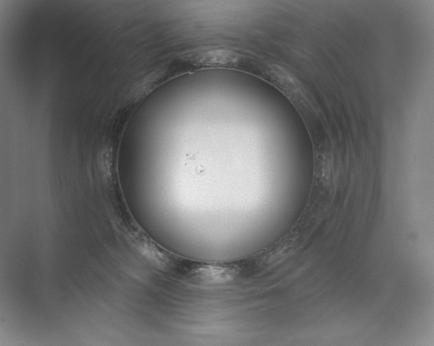 X0000073510326200608140941
