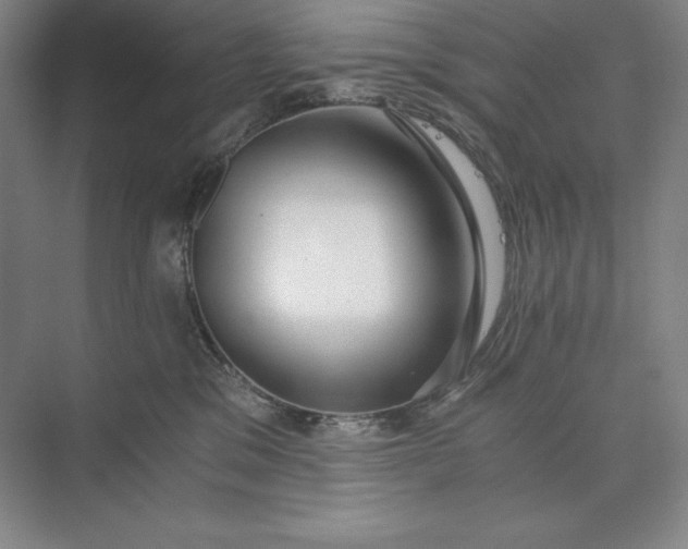X0000073510329200608140941