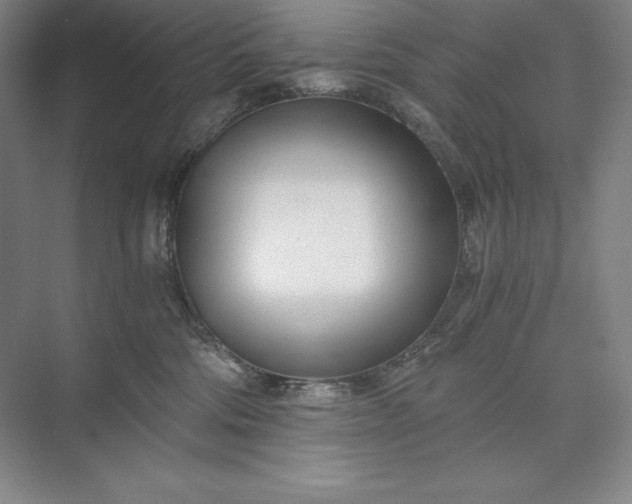 X0000073510330200608140941