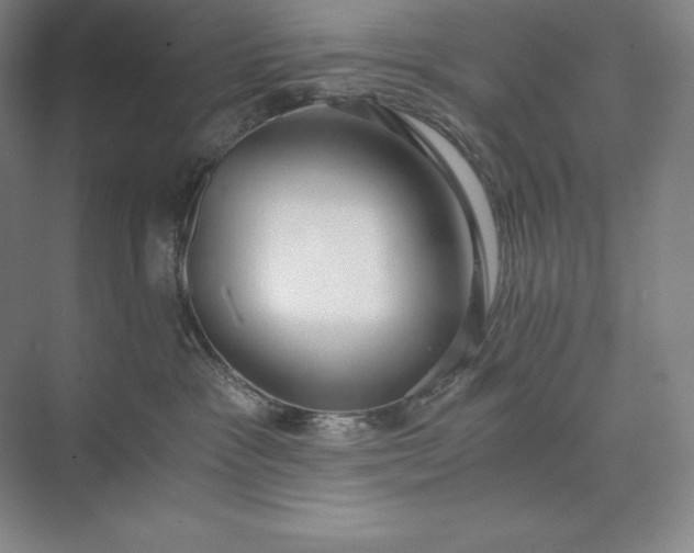 X0000073510333200608140941