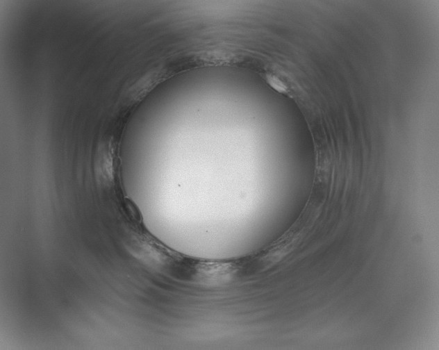 X0000073510334200608140941