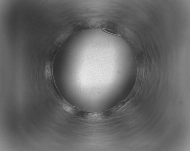 X0000073510335200608140940