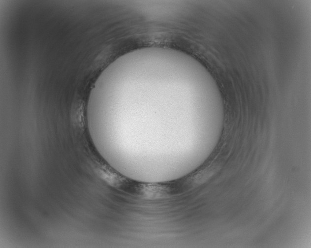 X0000073510336200608140940