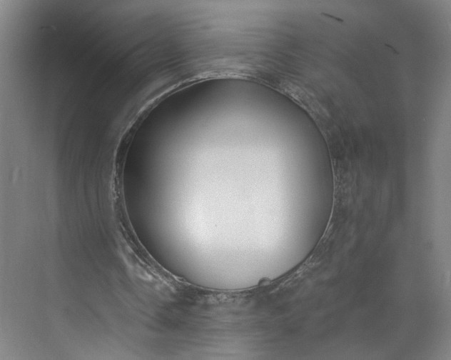 X0000073510338200608140940