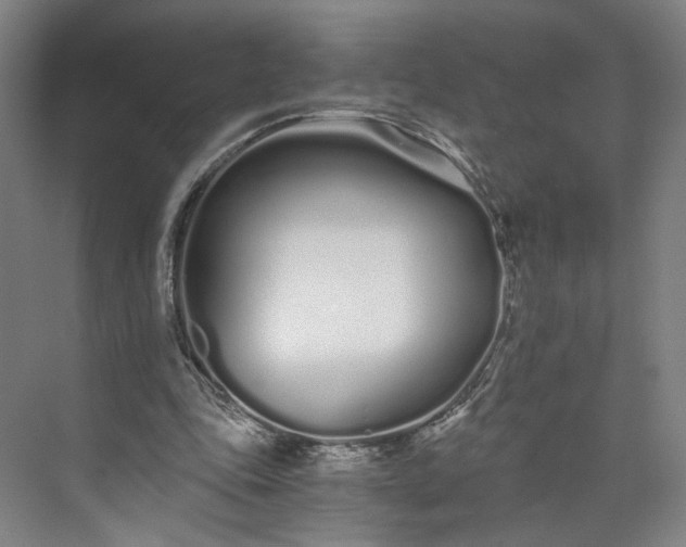 X0000073510343200608140940