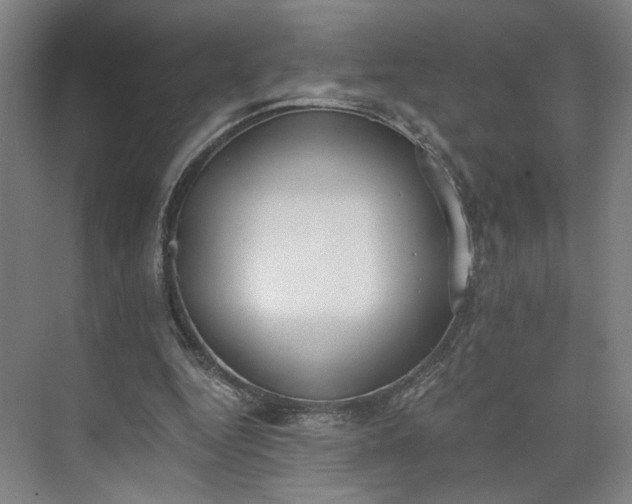 X0000073510344200608140940