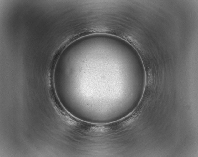 X0000073510351200608140940