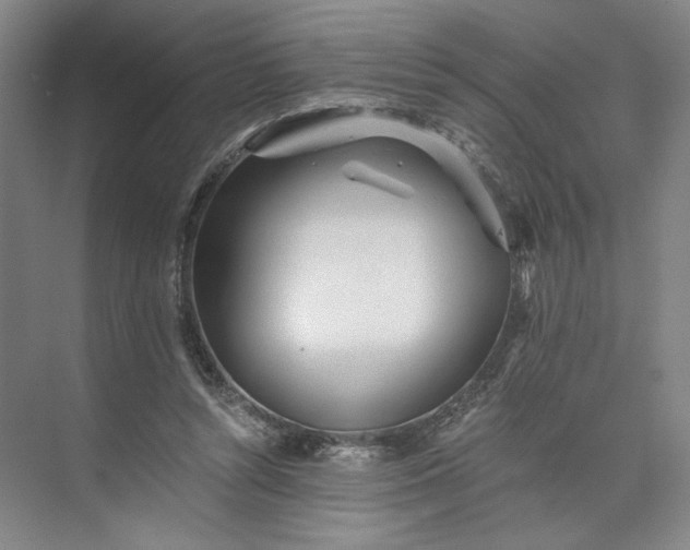 X0000073510352200608140940