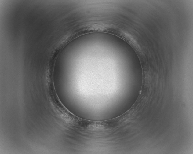 X0000073510354200608140940
