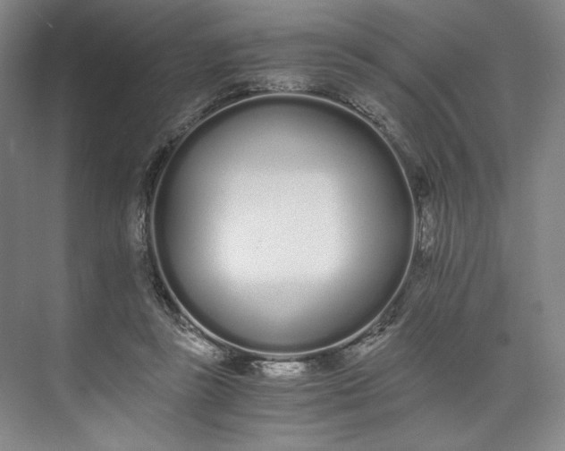 X0000073510355200608140940