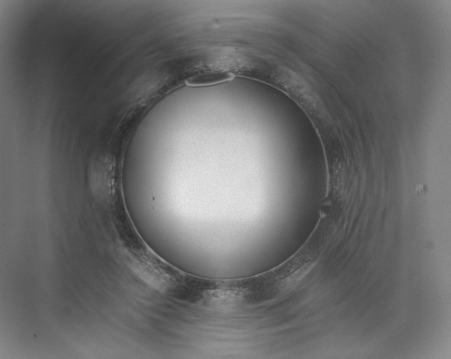 X0000073510356200608140940