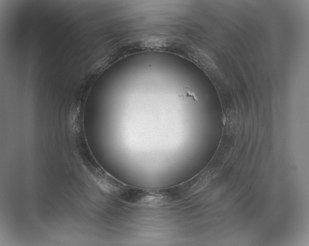 X0000073510364200608140940