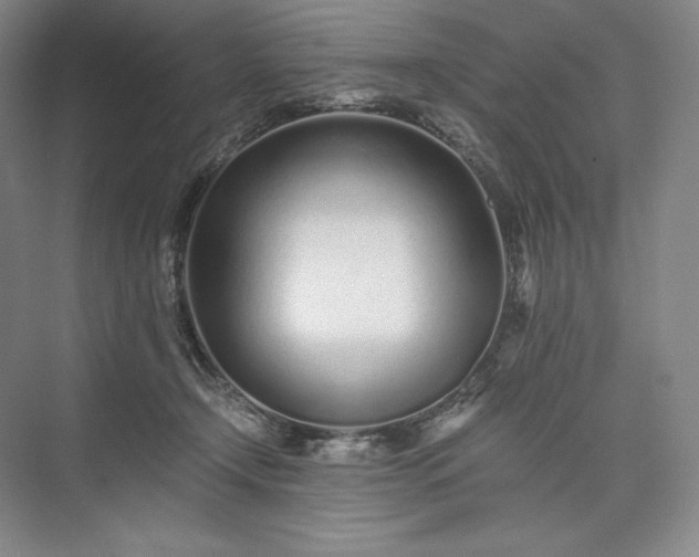 X0000073510366200608140940