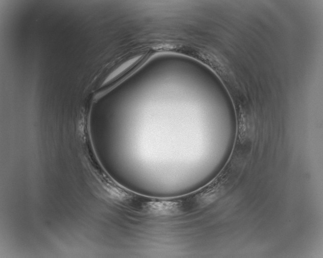 X0000073510367200608140940