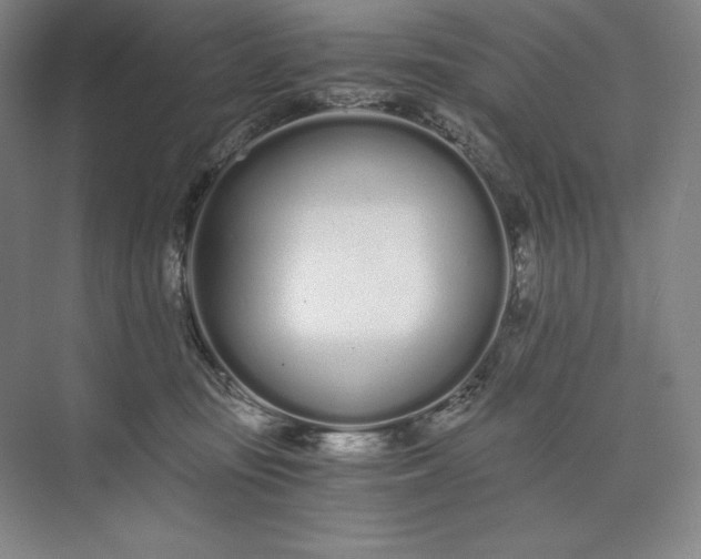 X0000073510371200608140940