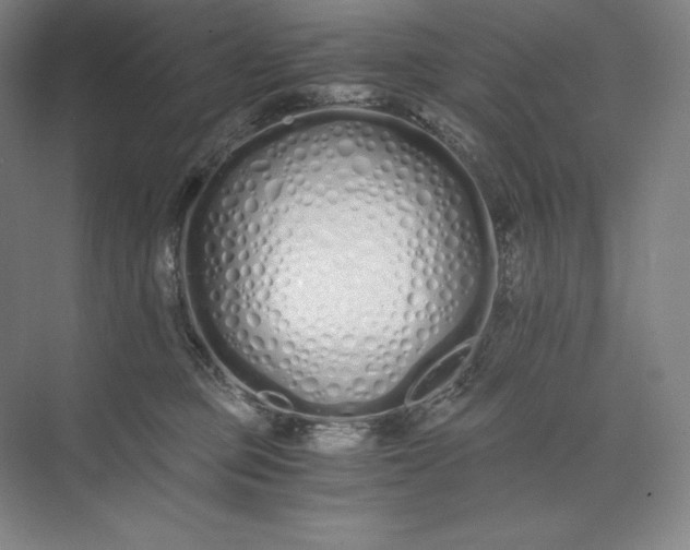 X0000073510373200608140940