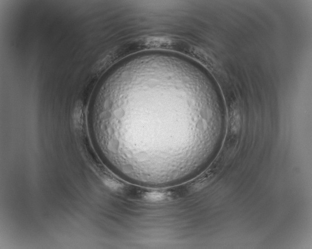 X0000073510375200608140940