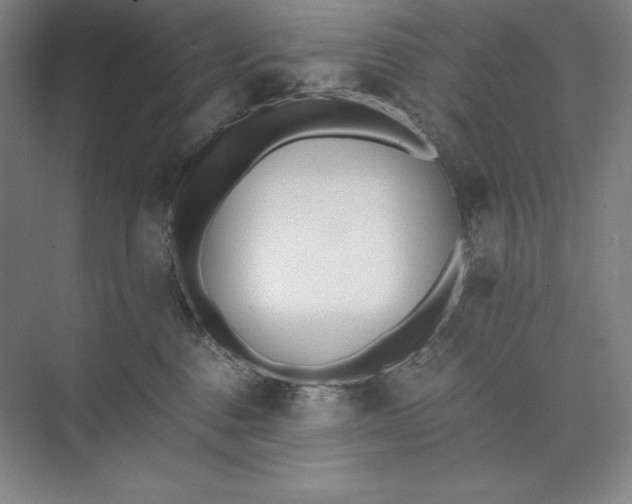 X0000073510376200608140940
