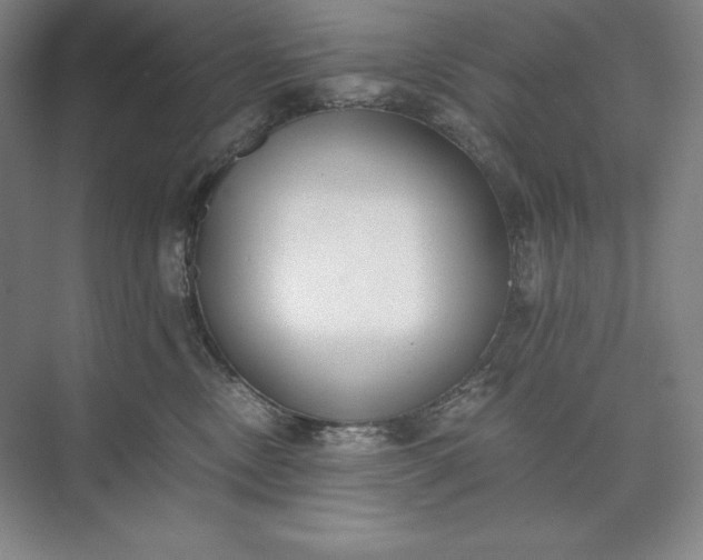X0000073510378200608140940