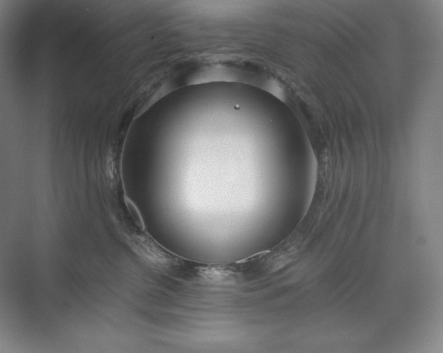 X0000073510380200608140940