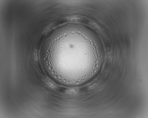 X0000073510381200608140940