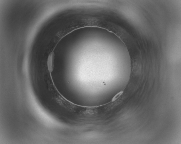 X0000073510383200608140940