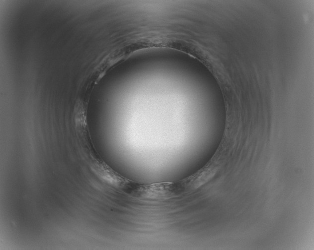 X0000073510384200608140940