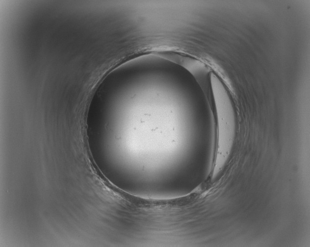 X0000073510385200608140940
