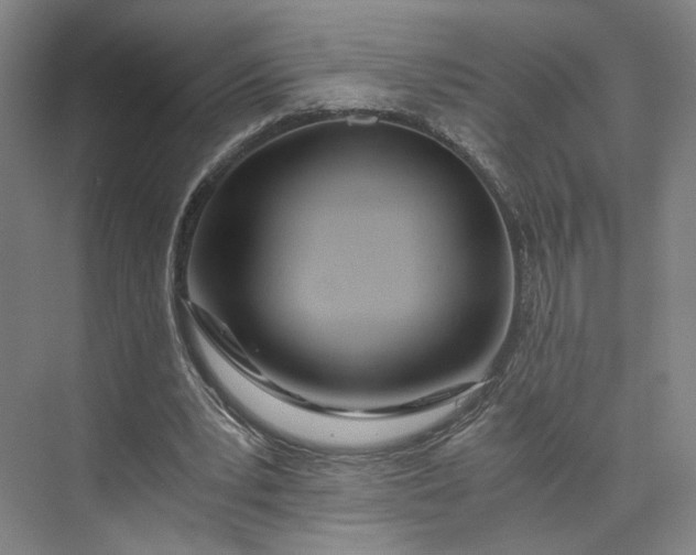 X0000073510391200608140940