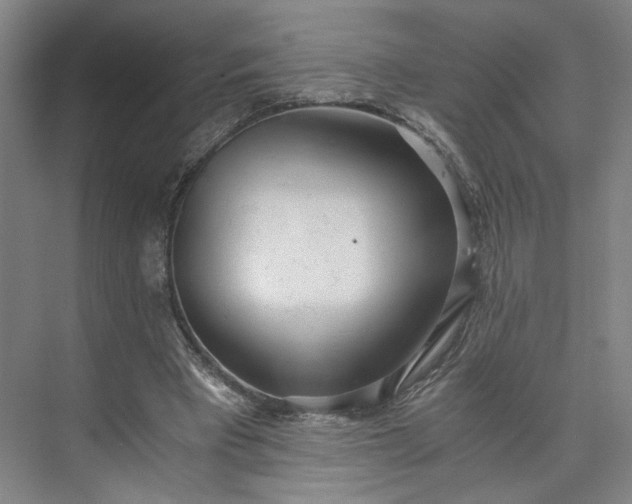 X0000073510393200608140940