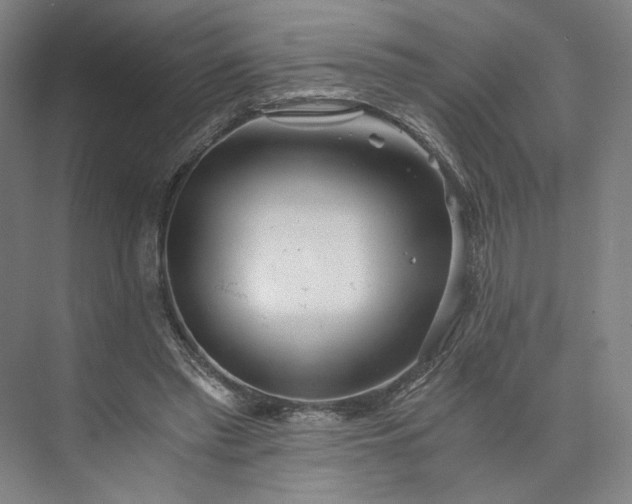 X0000073510397200608140939