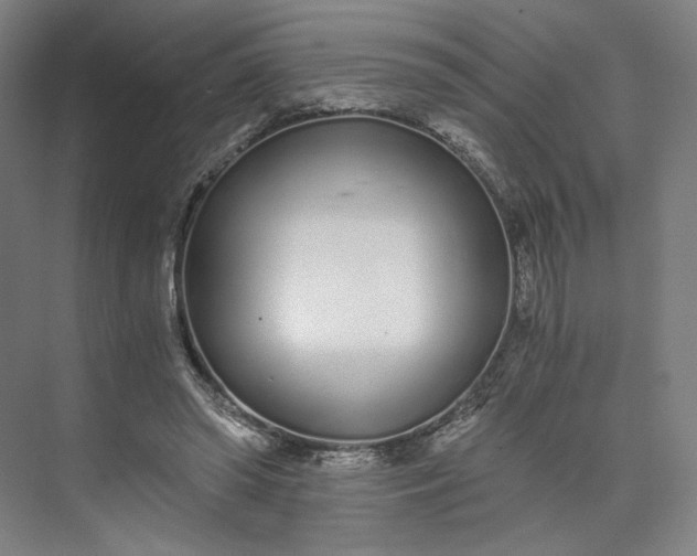 X0000073510398200608140939