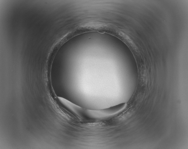 X0000073510399200608140939