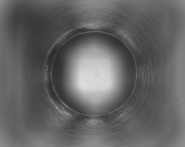 X0000073510400200608140939