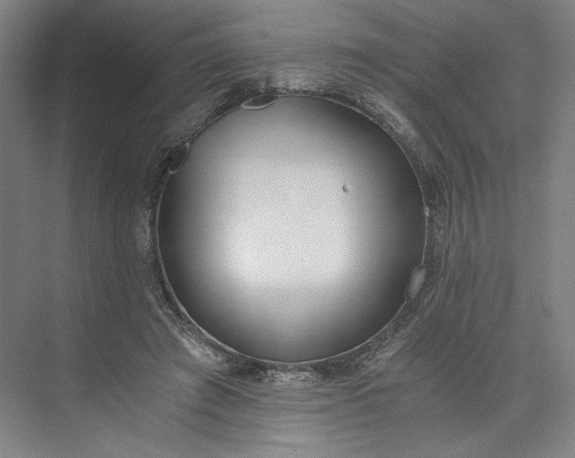 X0000073510401200608140939