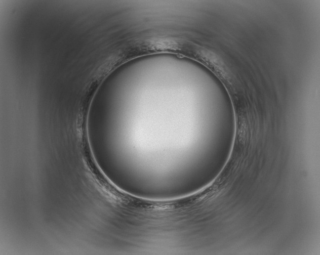 X0000073510402200608140939