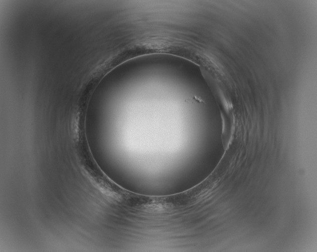 X0000073510404200608140939
