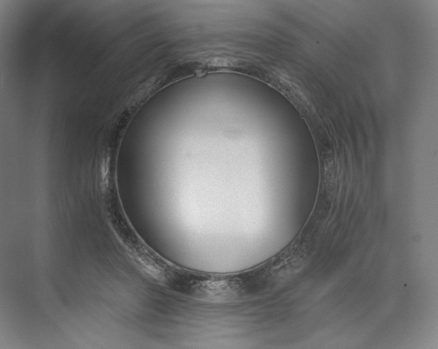 X0000073510406200608140939