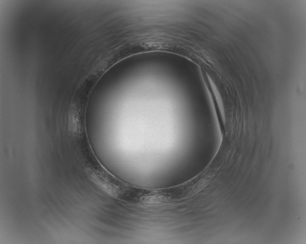 X0000073510408200608140939