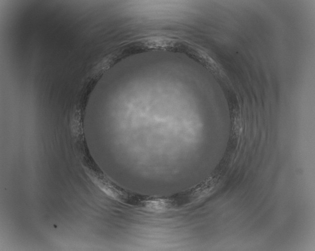 X0000073510411200608140939