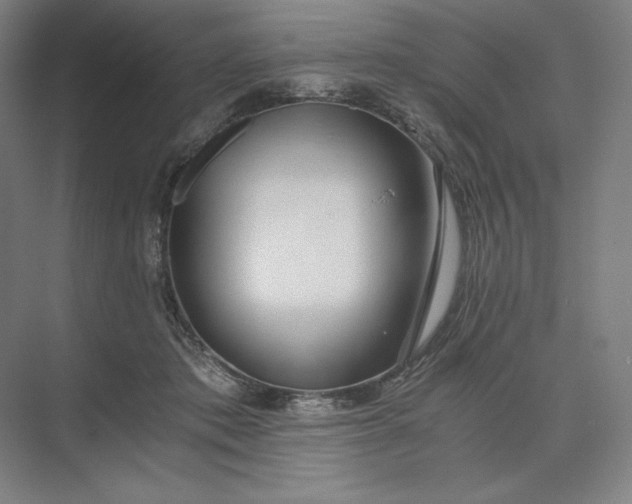 X0000073510413200608140939