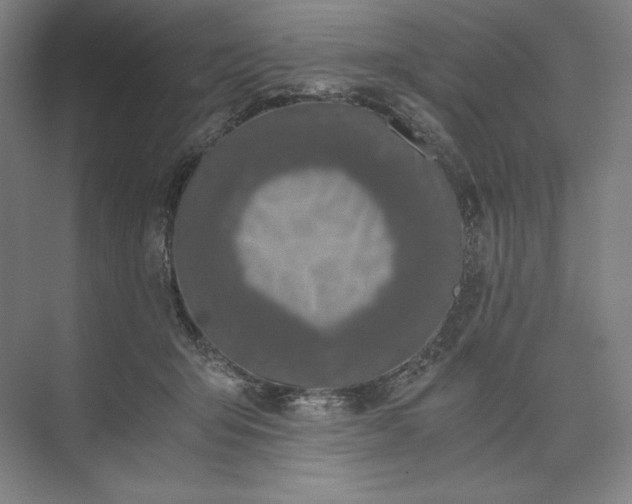 X0000073510415200608140939