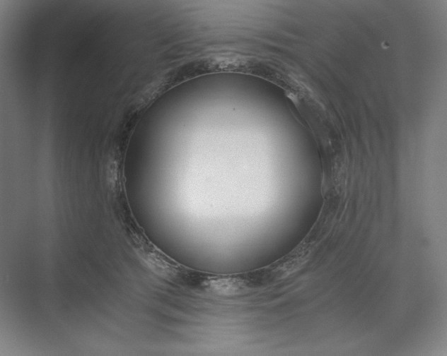 X0000073510417200608140939