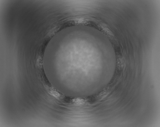 X0000073510419200608140939